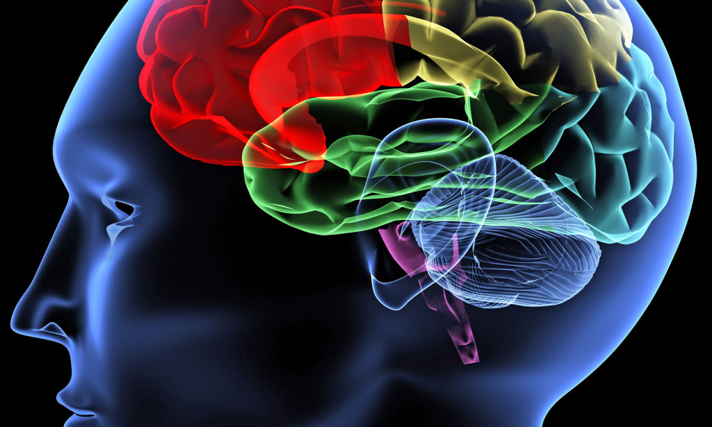 HOW OUR BRAIN WORK(SUBCONSCIOUS MIND)