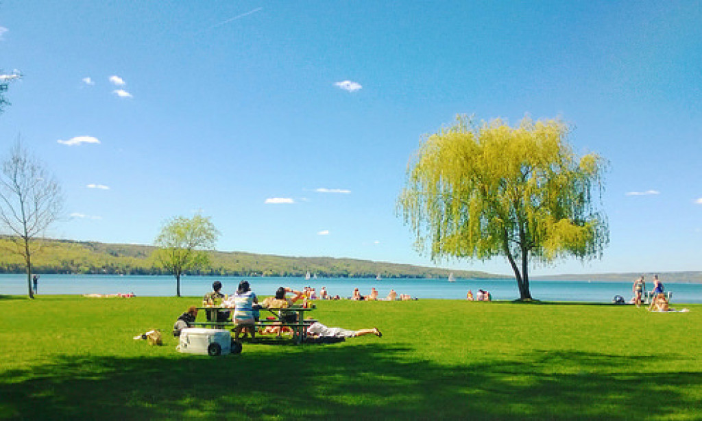 15 Green Activities For You and Your Family This Summer