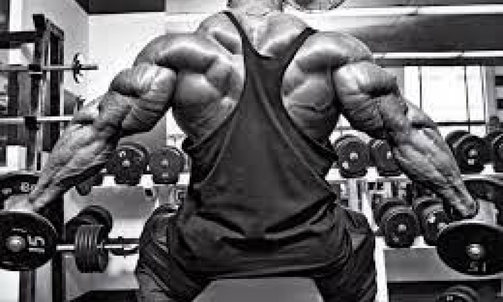 Bodybuilding Plan