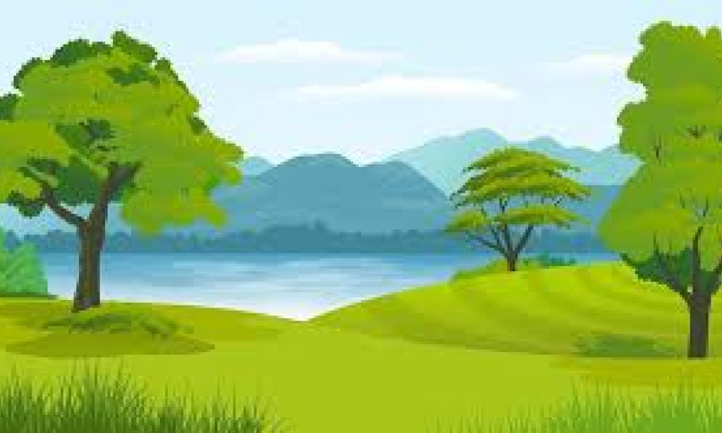 10 Best Solid Wafers You Can Purchase At The Store