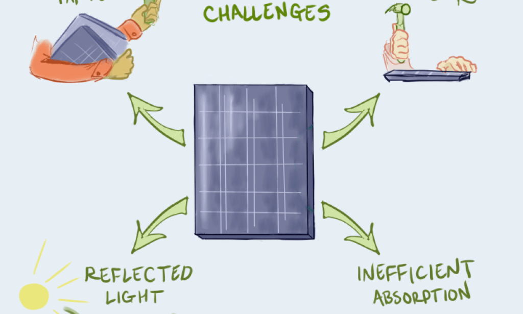 Is Solar Power The Immediate Comeback To Our Beans Woes