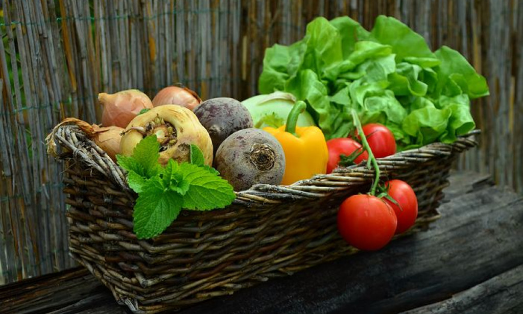 Top 7 reason to grow organics vegetables