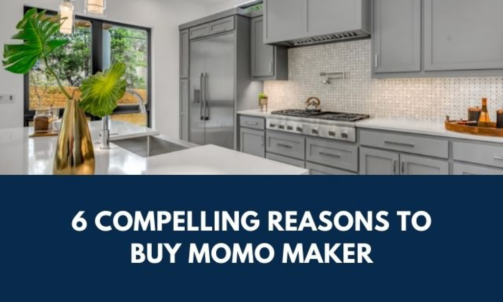 6 Compelling Reasons to Buy Momo Maker
