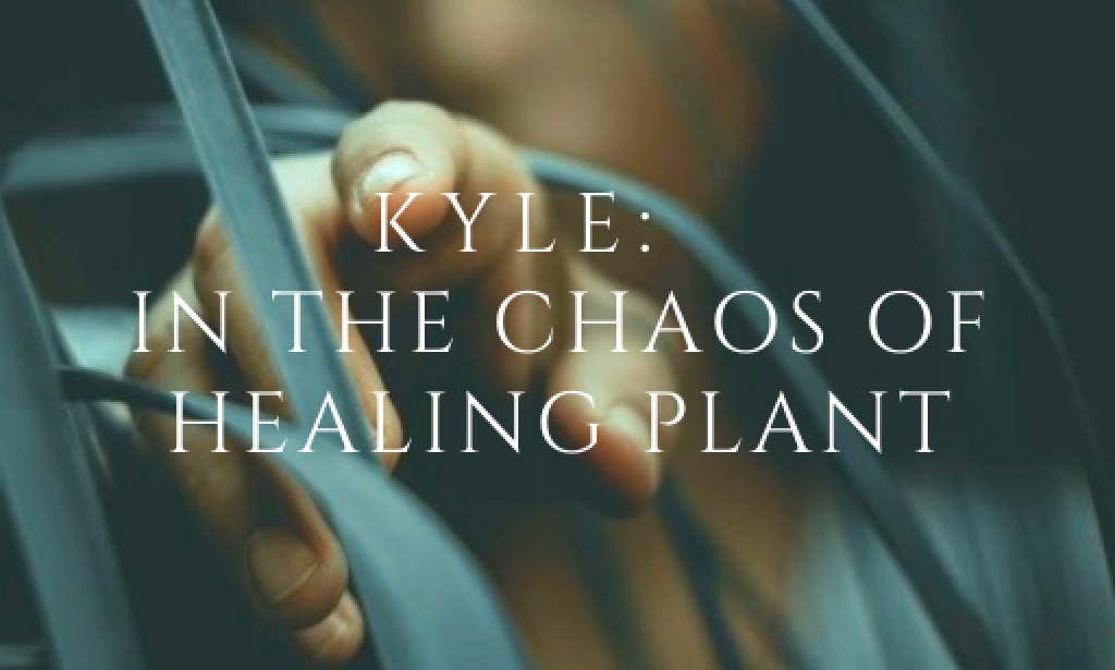 Kyle: In the chaos of healing plant